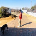 Junior 146 Gallery Photo 2