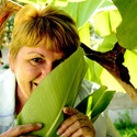MeisieBH From Durban, Kwazulu-Natal