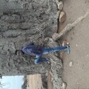 freeman9 Gallery Photo 1