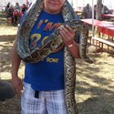 spiertier From Benoni, Gauteng
