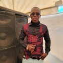 Gavii From Kimberley, Northern Cape