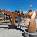 mike From Cape Town, Western Cape