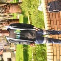 Beekay06 From Johannesburg, Gauteng