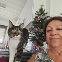 Belle5 From Johannesburg, Gauteng