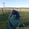 Londioula329 Gallery Photo 1