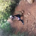 Phoenix Rising Gallery Photo 3