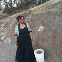 Dinde Gallery Photo 2