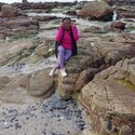 Terry Gallery Photo 2
