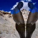 Mr desparate Gallery Photo 4