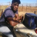Evans Bonkolo Gallery Photo 2