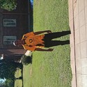 Tefo Gallery Photo 1