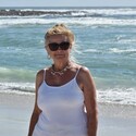 Barbs From Cape Town, Western Cape