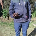 Malkop Gallery Photo 5