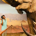 Mavulavala Gallery Photo 2