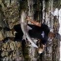 philly26 From Durban, Kwazulu-Natal