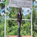 Tbose From Modjadjiskloof, Limpopo