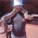 Mayfairguy From Johannesburg, Gauteng