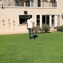 Mr Busy Gallery Photo 3