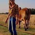 Queen Bee Gallery Photo 7