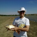 DieSKim Gallery Photo 1