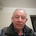 Roadrunner From Cape Town, Western Cape