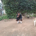 Nkulerh Gallery Photo 2