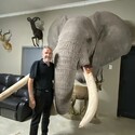 rooneycroucamp From Midrand, Gauteng