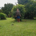 Bosnimf Gallery Photo 4