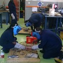 krobs From East London, Eastern Cape