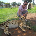 Nats_GP Sandton