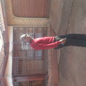 Gudman5 From Johannesburg South, Gauteng