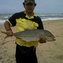 dingo 30 Margate