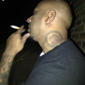 menace2 Gallery Photo 3