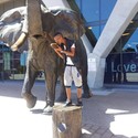 T-man48 From Sandton, Gauteng