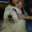 Rolo5 Gallery Photo 1