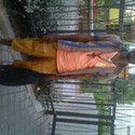 jiggar2 Gallery Photo 2