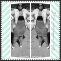 Tumicious2 From Welkom, Free State