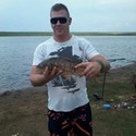 sharky9 Gallery Photo 1