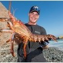 Lobster Vasgie From Pretoria, Gauteng