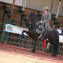 dirk14 Gallery Photo 1