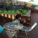 dobbydee From Johannesburg South, Gauteng