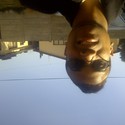 Lemark From Alberton, Gauteng