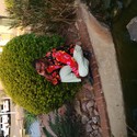 stjitjo From Olifantsfontein, Gauteng