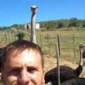 cobi From Oudtshoorn, Western Cape