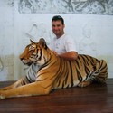 wolfie9 From Centurion, Gauteng