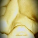 Randy22 Gallery Photo 1