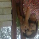 Nadi3 From Alberton, Gauteng