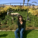 Green Eye2 From Johannesburg, Gauteng