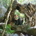 Trickster From Graaff Reinet, Eastern Cape