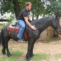 Ben129 From Somerset West, Western Cape